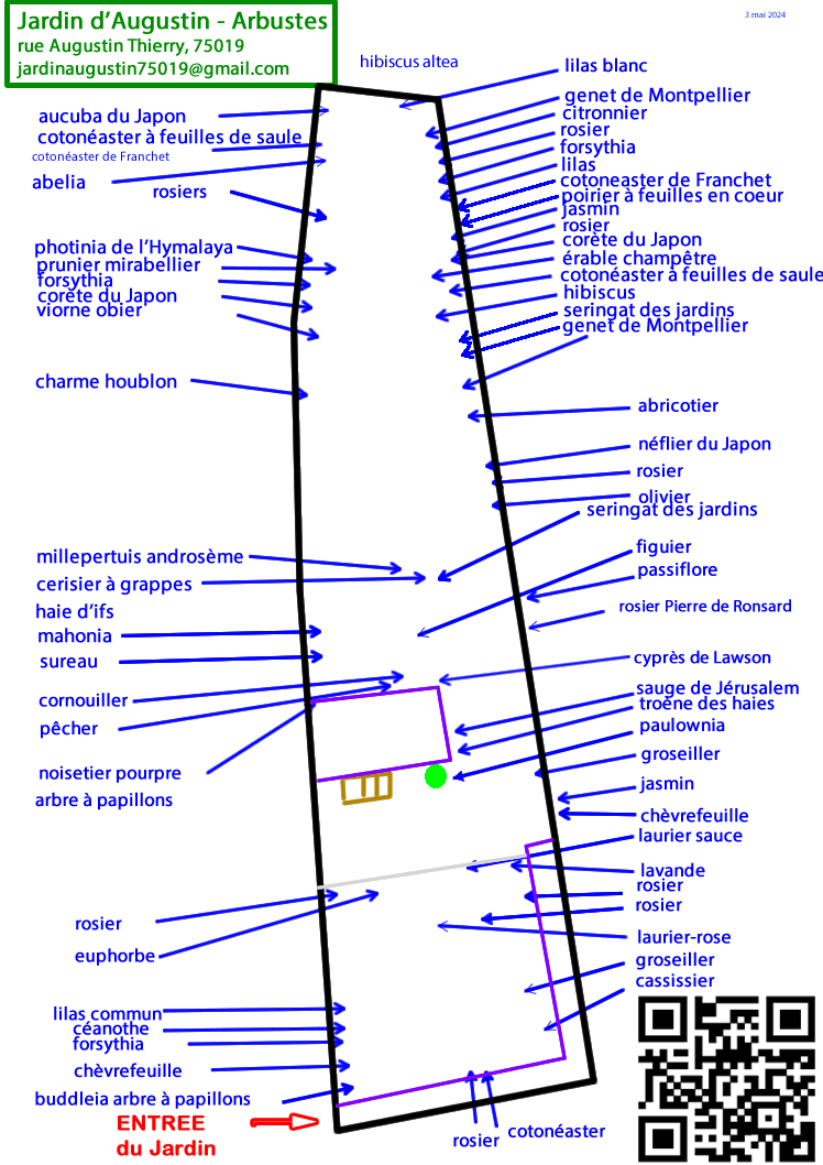 Plan dynamique de situation des arbustes au Jardin d'Augustin