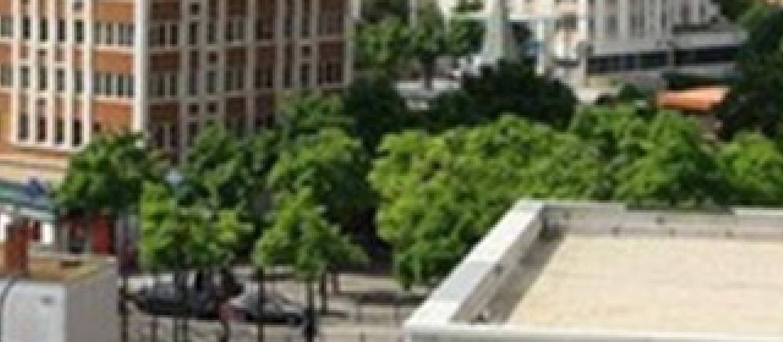 Les ruches du centre d'animation